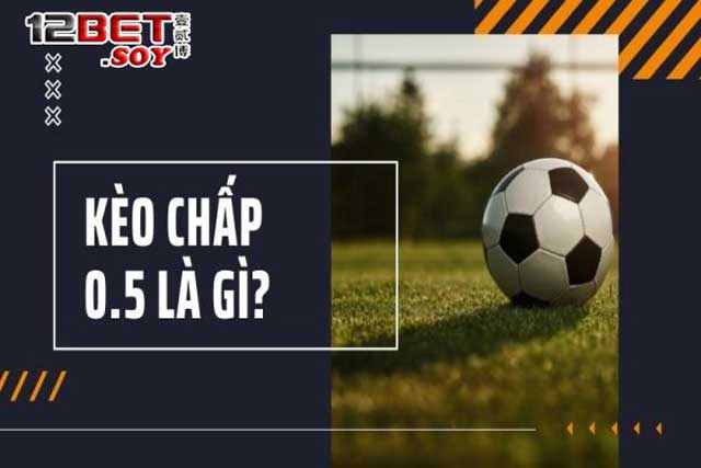 Kèo chấp 0.5 là gì? Hiểu rõ để thắng lớn